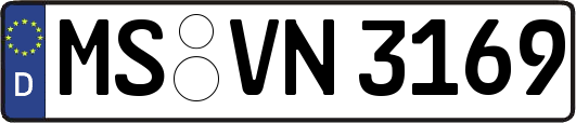 MS-VN3169