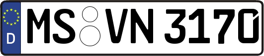 MS-VN3170