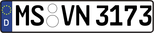 MS-VN3173