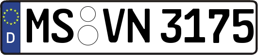 MS-VN3175
