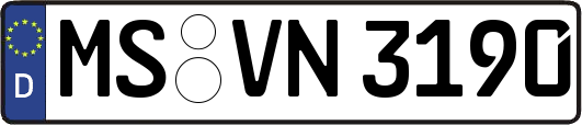 MS-VN3190