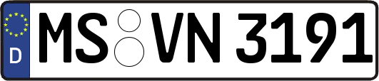 MS-VN3191