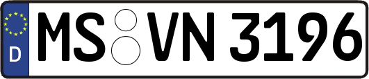 MS-VN3196