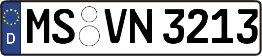 MS-VN3213