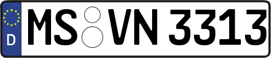 MS-VN3313