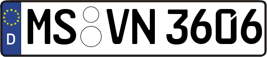 MS-VN3606