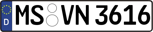 MS-VN3616