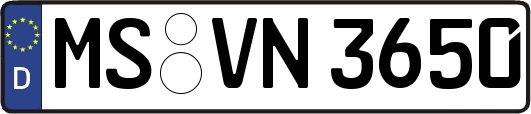 MS-VN3650