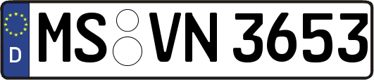 MS-VN3653