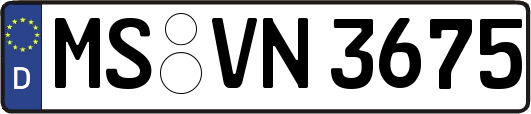 MS-VN3675