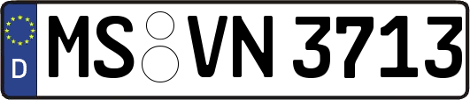 MS-VN3713