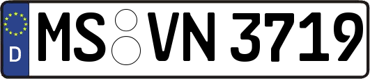 MS-VN3719