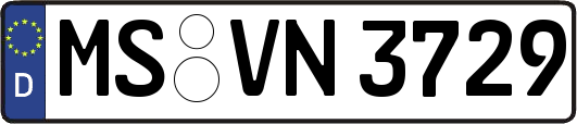 MS-VN3729
