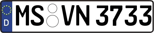 MS-VN3733