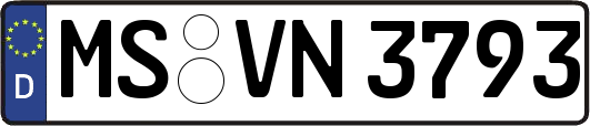 MS-VN3793