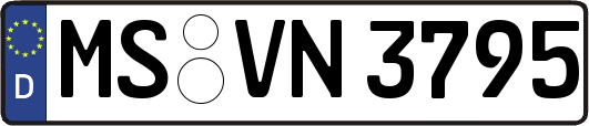 MS-VN3795