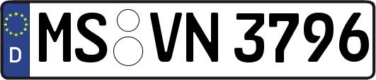 MS-VN3796