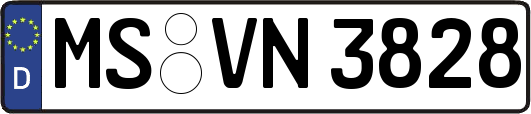 MS-VN3828
