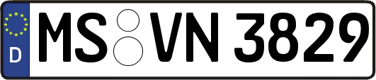 MS-VN3829