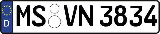 MS-VN3834