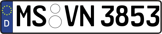 MS-VN3853