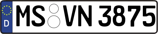 MS-VN3875