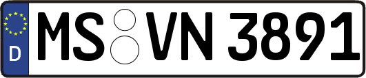 MS-VN3891