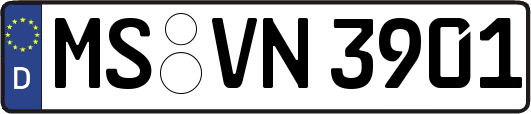 MS-VN3901
