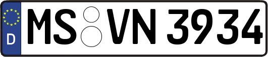 MS-VN3934