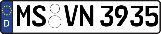 MS-VN3935