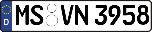 MS-VN3958