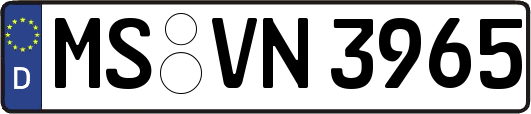 MS-VN3965