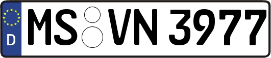 MS-VN3977
