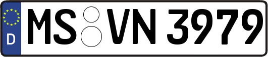 MS-VN3979