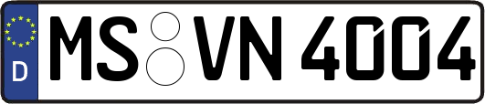 MS-VN4004