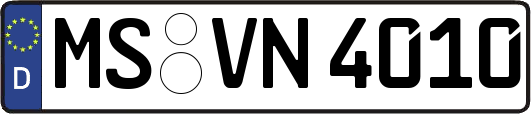 MS-VN4010