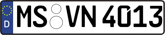 MS-VN4013