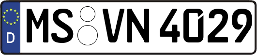 MS-VN4029