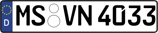 MS-VN4033