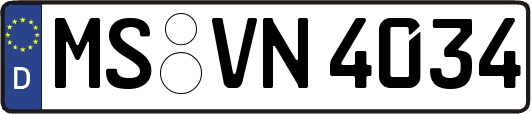 MS-VN4034