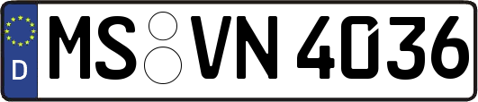 MS-VN4036