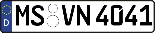 MS-VN4041