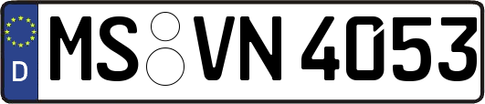 MS-VN4053