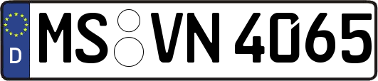 MS-VN4065