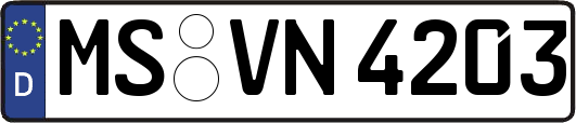 MS-VN4203
