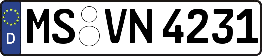 MS-VN4231