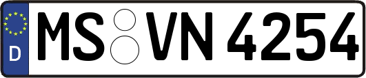 MS-VN4254