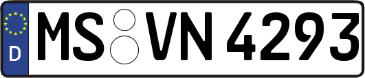 MS-VN4293