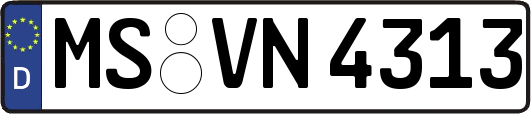MS-VN4313