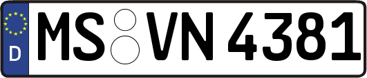 MS-VN4381
